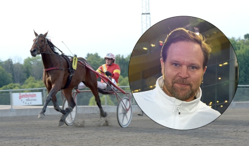 Harvard Student vinner lopp i Eskilstuna förra året för sin dåvarande tränare Hans-Owe Sundberg. På lördag är det V75 som gäller för stoet som numera tränas av handbollsprofilen Magnus Jernemyr. Foto: Lars Jakobsson
